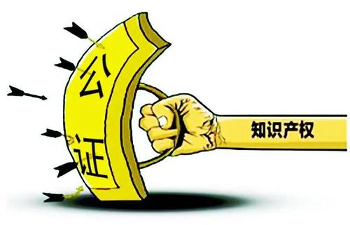 證據固定不再愁，天津公證解煩憂——技術推廣服務助力企業創新發展